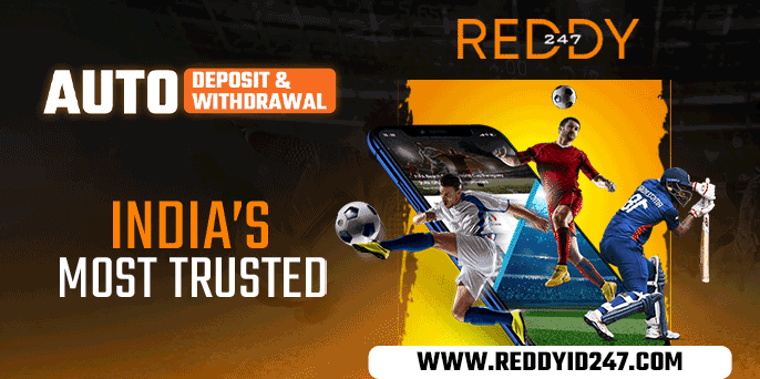 REDDYID247 - Hero Section